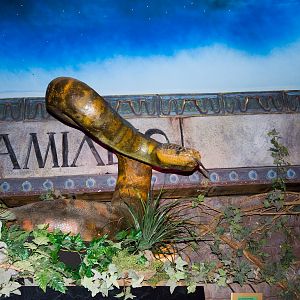 Lost World of Reptiles - Nov 2008