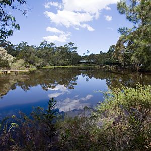 Alligator lake - Nov 2008