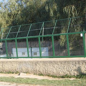 Kosice Zoo - October 2006.