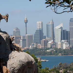 Best view in the house - Jan 2009