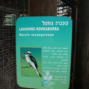 kukabara sign