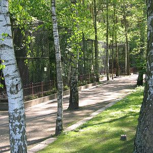Bydgoszcz Zoo / May 2005