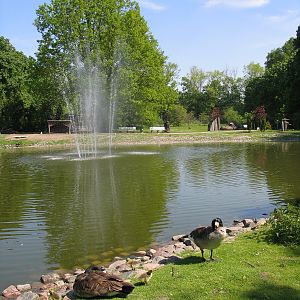 Bydgoszcz Zoo / May 2005