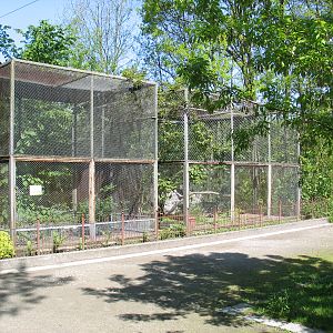 Bydgoszcz Zoo / May 2005