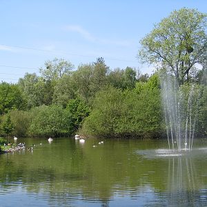 Bydgoszcz Zoo / May 2005
