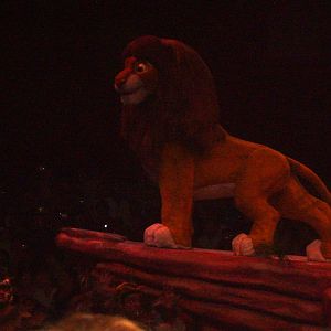 lion king show