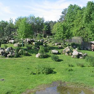 Bydgoszcz Zoo / May 2005