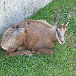 Bydgoszcz Zoo / May 2005