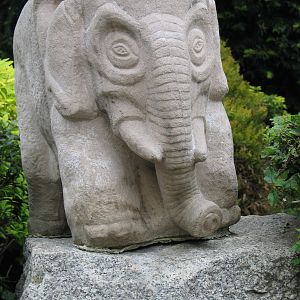 Plock Zoo / May 2005