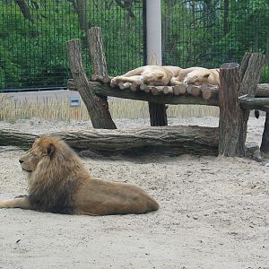 Plock Zoo / May 2005