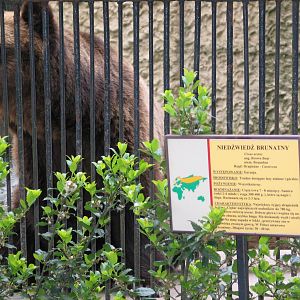 Plock Zoo / May 2005