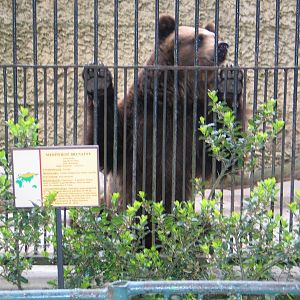 Plock Zoo / May 2005