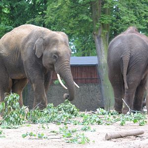 Plock Zoo / May 2005