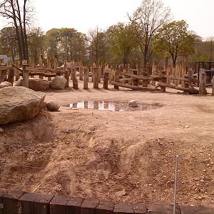White rhino exhibit, Copenhagen Zoo, April 2009