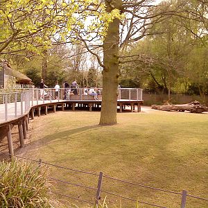 The Australian enclosure, Copenhagen Zoo, april 2009