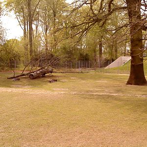 Australian enclosure, Copenhagen Zoo, April 2009