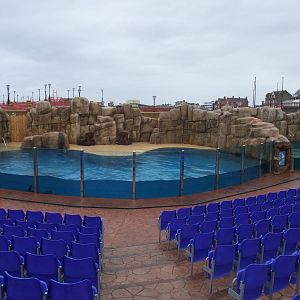 Sealion Cove at Rhyl SeaQuarium 04/05/09