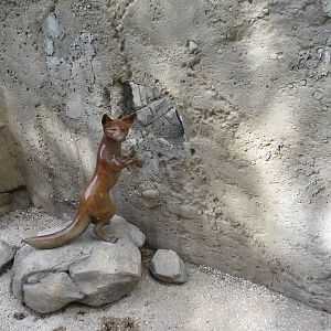 Humboldt Penguin Exhibit