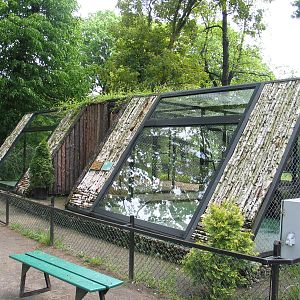 Torun Zoo / May 2005