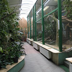 Torun Zoo / May 2005