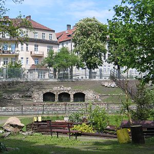Torun Zoo / May 2005
