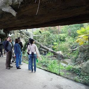 Jaguar Exhibit