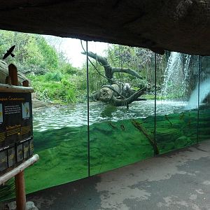 Jaguar Exhibit