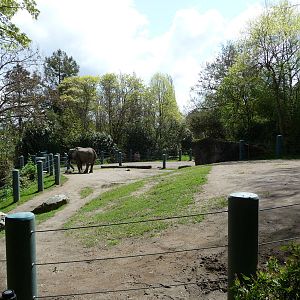 Elephant Exhibit