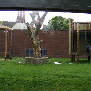 One of the outdoor chimp areas 2 May 2009