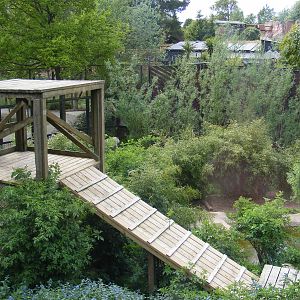 White tiger enclosure 4 May 2009