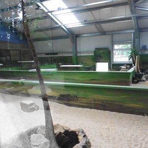 sparse African House