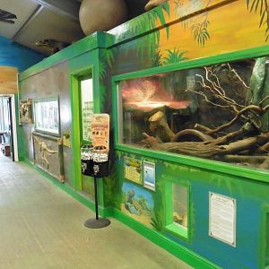 Discovery House terrariums