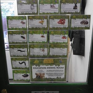 Staff only  reptile and invert breeding tanks