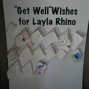 Well wishes for Layla