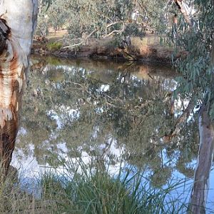 Nice spot.  Several species of birds here.