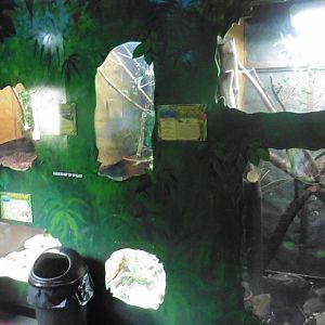 Reptile House