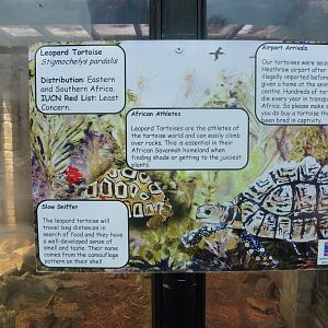 HANWELL ZOO: Leopard tortoise sign design