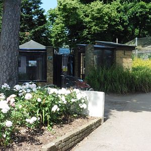 HANWELL ZOO: Outer Aviaries