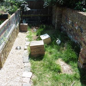 HANWELL ZOO: Bunny Wabbit