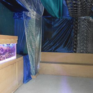 HANWELL ZOO: New Aquarium hut