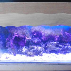 HANWELL ZOO: New Aquarium hut