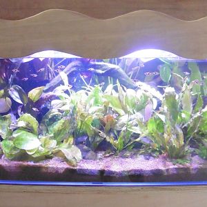 HANWELL ZOO: New Aquarium hut