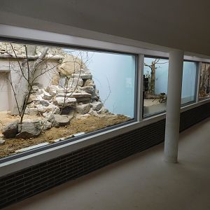 New wing for small mammals in Great Apes House