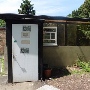 HANWELL ZOO: Tropical/Butterfly House