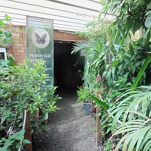 HANWELL ZOO: Tropical/Butterfly House
