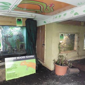 HANWELL ZOO: Tropical/Butterfly House