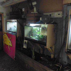 HANWELL ZOO: Tropical/Butterfly House