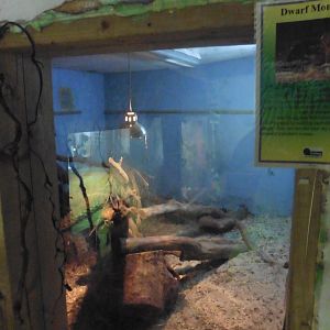 HANWELL ZOO: Tropical/Butterfly House