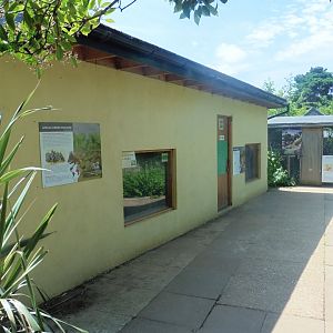 HANWELL ZOO: Meerkat/African Crested Porcupine Dens