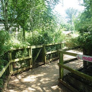 HANWELL ZOO: